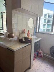 Simei Green Condominium (D18), Condominium #638306301